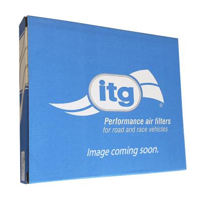 Filtro dell'aria di ITG per BMW X6M 4,4 (09/09>) (passato i filtri)